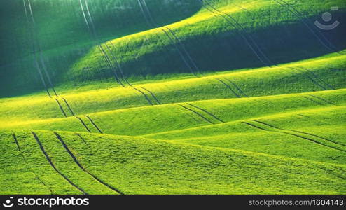 Green spring nature background with setting sun and grass. Waves on the field.  Moravian Tuscany - Czech Republic - Europe.