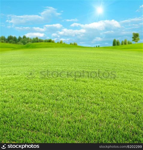 Green spring valley, beauty seasonal backgrounds
