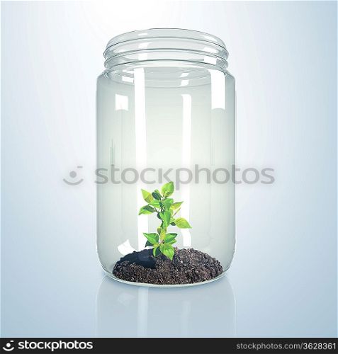 Green sprout and soil inside a glass jar