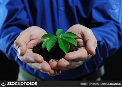 Green sprout in the men&rsquo;s hands on a black background