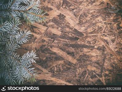green spruce branch on a brown wooden background, empty space on the right