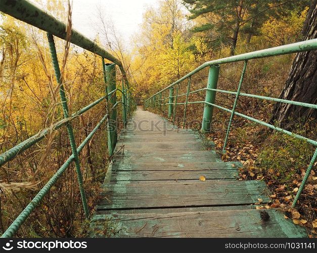 Green steep staircase in the autumn forest to the pond.