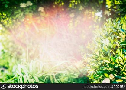 Green summer day with wild grass and herbs, outdoor nature background