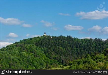 Green summer hill with forest and church tower on top (Slovakia)