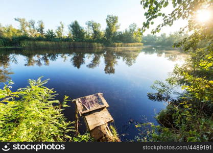 Green summer lake in the forest