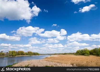 Green summer meadow and pond with blue cloudy sky