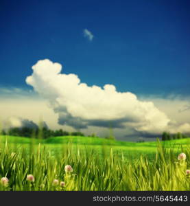 Green summer meadow under the blue skies and white clouds