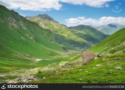 Green summer mountain valley at day. Nature landscape.