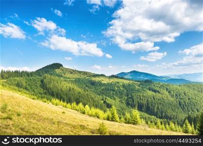 Green sunny hills with forest, blue sky and clouds. Nature landscape