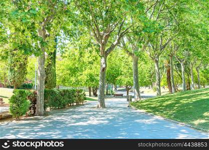 Green sunny park with green trees in Barcelona