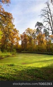 Green swamp inside the forest. Beautiful and warm autumn. Green swamp inside the forest. Beautiful and warm autumn.