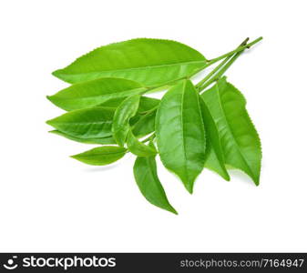 Green tea leaf isolated on white background