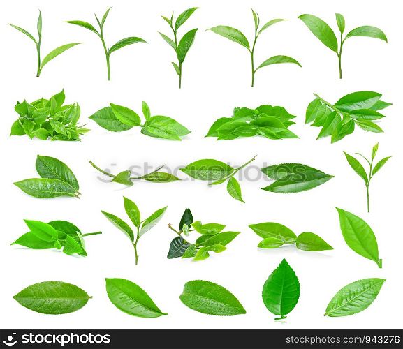 Green tea leafs isolated on white background
