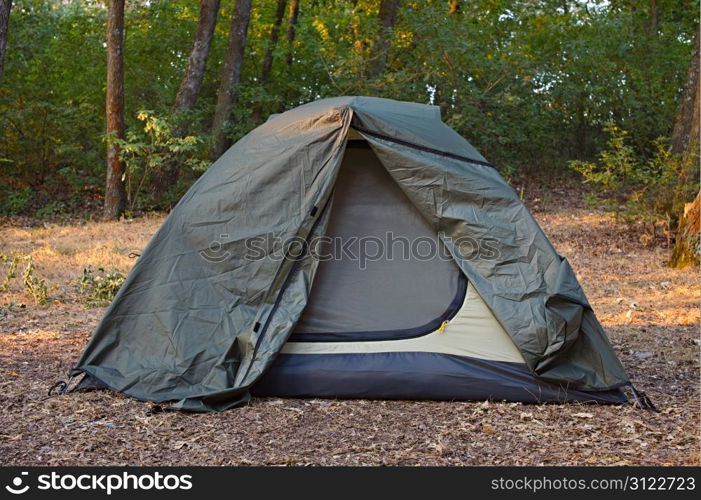 Green tent in the forest. Camping concept