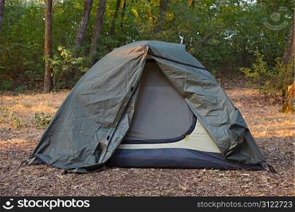 Green tent in the forest. Camping concept