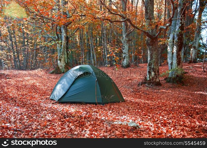 Green tent in the yellow autumn forest