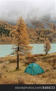 Green tourist tent on the shore of Lake Akkem, Altai Republic, Russia.