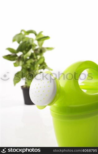 Green toy watering can and plant