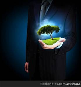 Green tree. A green tree in the hand of a businessman