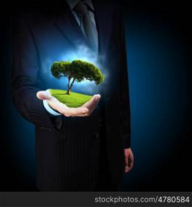 Green tree. A green tree in the hand of a businessman