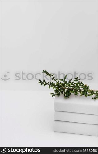 green tree branches stacked books against white background
