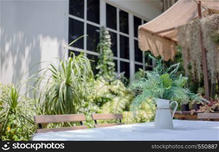 green tree bush vase on outdoor table in garden park. relax gardening outdoor hobby activities concept