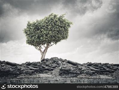 Green tree. Conceptual image of green tree standing on ruins