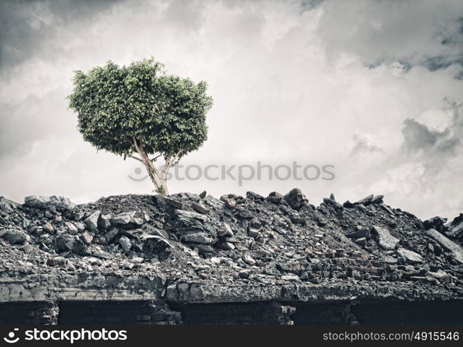 Green tree. Conceptual image of green tree standing on ruins