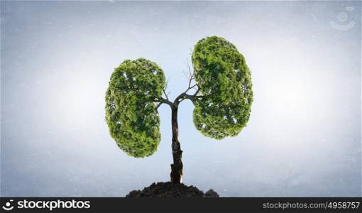 Green tree. Conceptual image with green tree growing in soil
