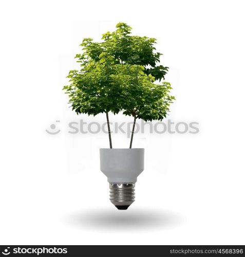 green tree growing out of a bulb