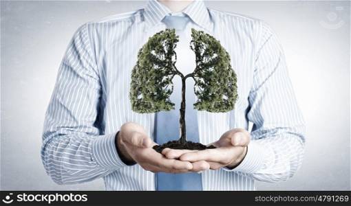 Green tree in soil. Close up of businessman holding in hands green tree concept
