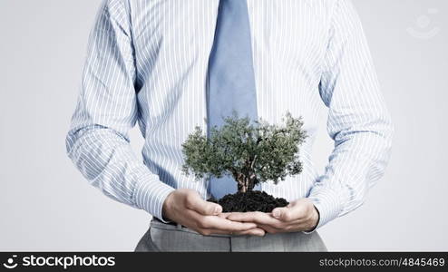 Green tree in soil. Close up of businessman holding in hands green tree concept