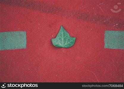 green tree leaf on the ground