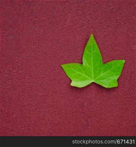 green tree leaf textured on the red background