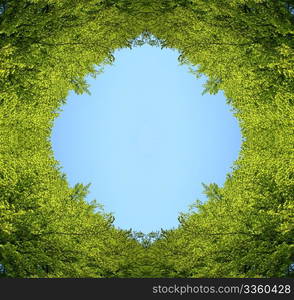 green tree leaves closeup in flower spring