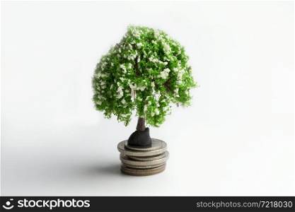Green tree on coins on a white background.. Green tree on coins.