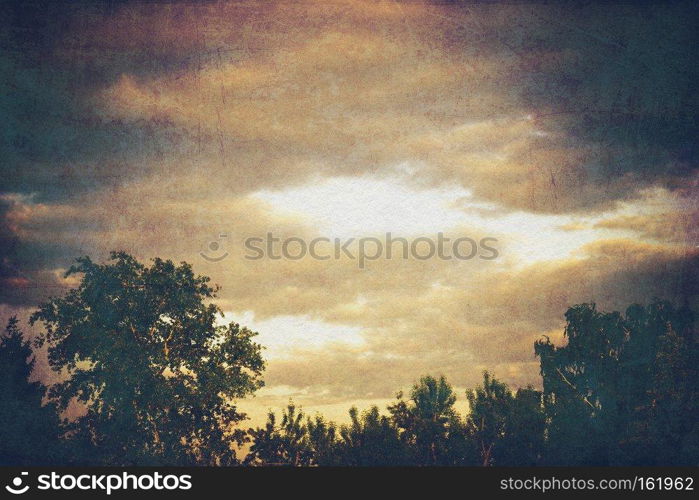 Green tree tops under spring stormy clouds.