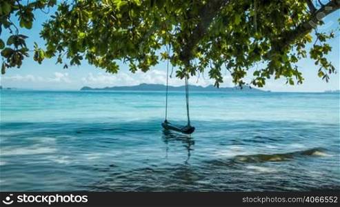 Green tree with lonely swing and sea shore