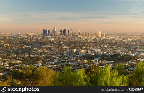 Green trees dominate the forground with the city skyline of Los Angeles in the background