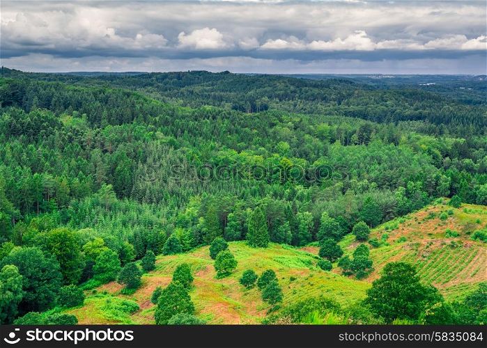 Green trees in danish landscape and with dark clouds