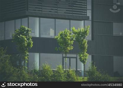 Green trees in front of a black office building