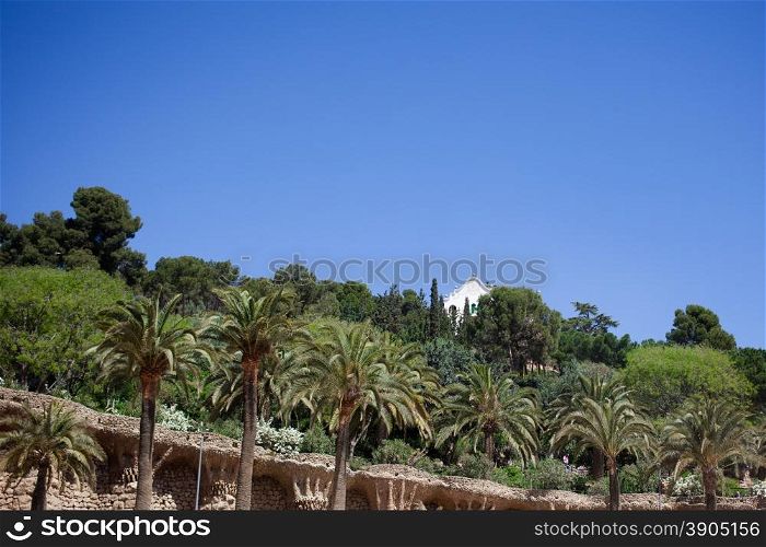 Green trees of Park Guell in Barcelona, Spain