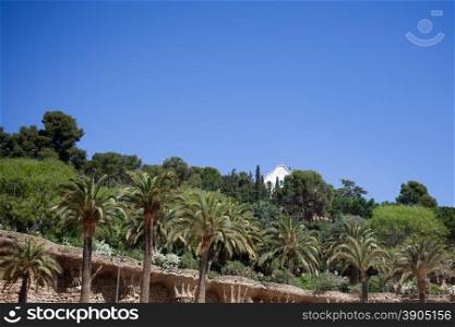 Green trees of Park Guell in Barcelona, Spain