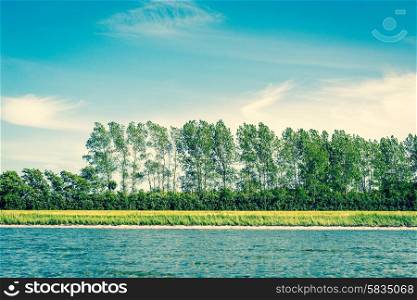 Green trees on a row by a Scandinavian ocean