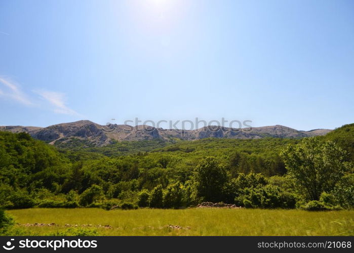 green trees on mountain slopes