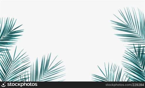 Green tropical palm leaves frame on white background. Summer concept wih copy space, flat lay. Green coconut leaves frame isolated on white background
