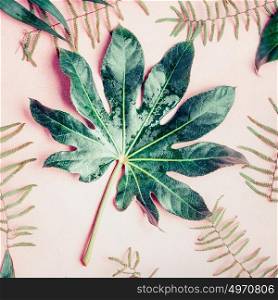 Green tropical palm leaves on pastel pink background, top view, close up
