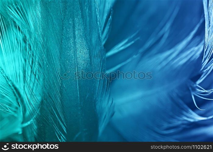 Green turquoise and blue color trends chicken feather texture background