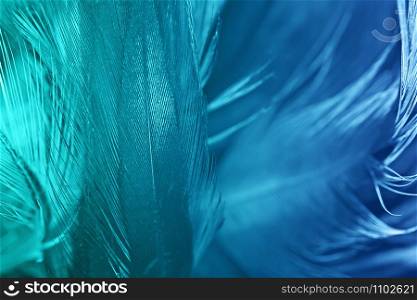 Green turquoise and blue color trends chicken feather texture background