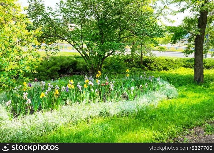 Green urban park with green trees, flowerbed, grass and shining sun
